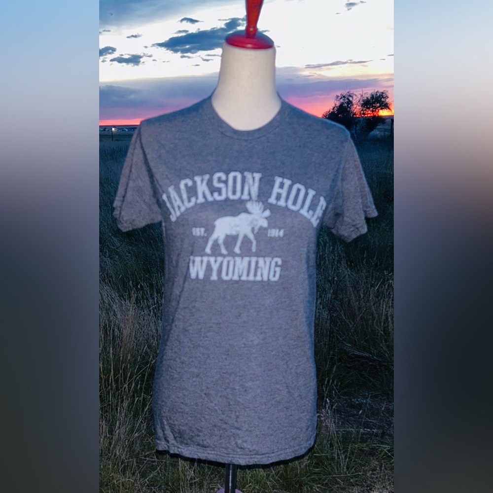 Jackson Hole Shirt. Gray. Size small.